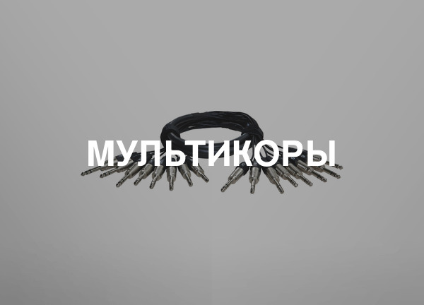 Мультикоры