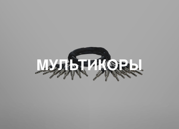 Мультикоры